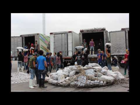 การตรวจสอบสัตว์น้ำนำเข้าจากทะเลหลวง (เรือขนถ่าย) 