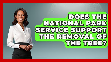 Does the National Park Service Support the Removal of the Tree? | Exploring Campgrounds
