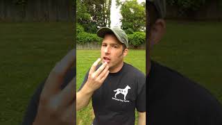 Advice for a Dog Attack on YOU (k9-1.com)