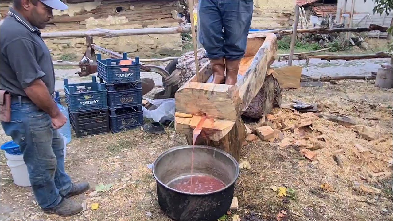 Bağ bozumu ve pekmez yapımı #bagbozumu #pekmez #pekmezyapımı
