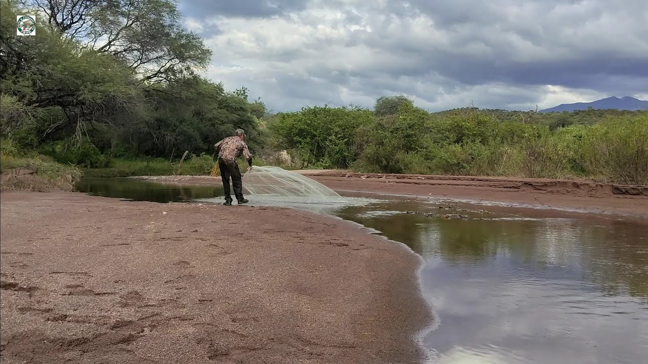 SALIERON LAS MONSTRUO de 4 kilos en el charco grande del riachuelo