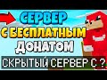 ТОП СЕРВЕР В MINECRAFT С БЕСПЛАТНЫМ ДОНАТОМ! 💎 ВСЕ ПРИВИЛЕГИИ БЕСПЛАТНО!