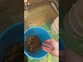 Elektro Warmwasserspeicher mal von innen gesehen?