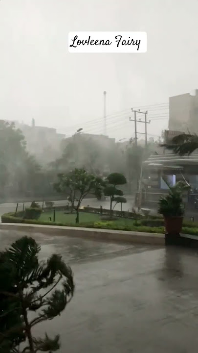 Wind & Rain #wind #rain #ytshorts #viralshort #wind #raining
