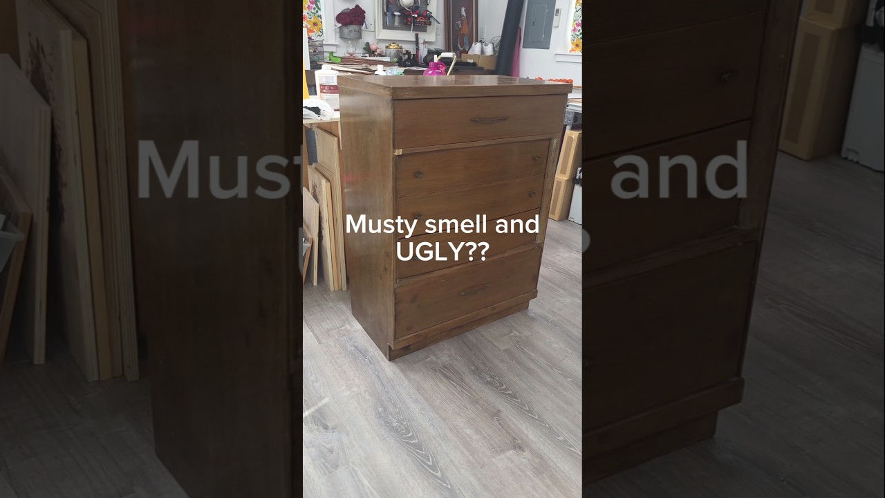 How to Get Rid of MUSTY SMELL in Furniture (Dresser Makeover)