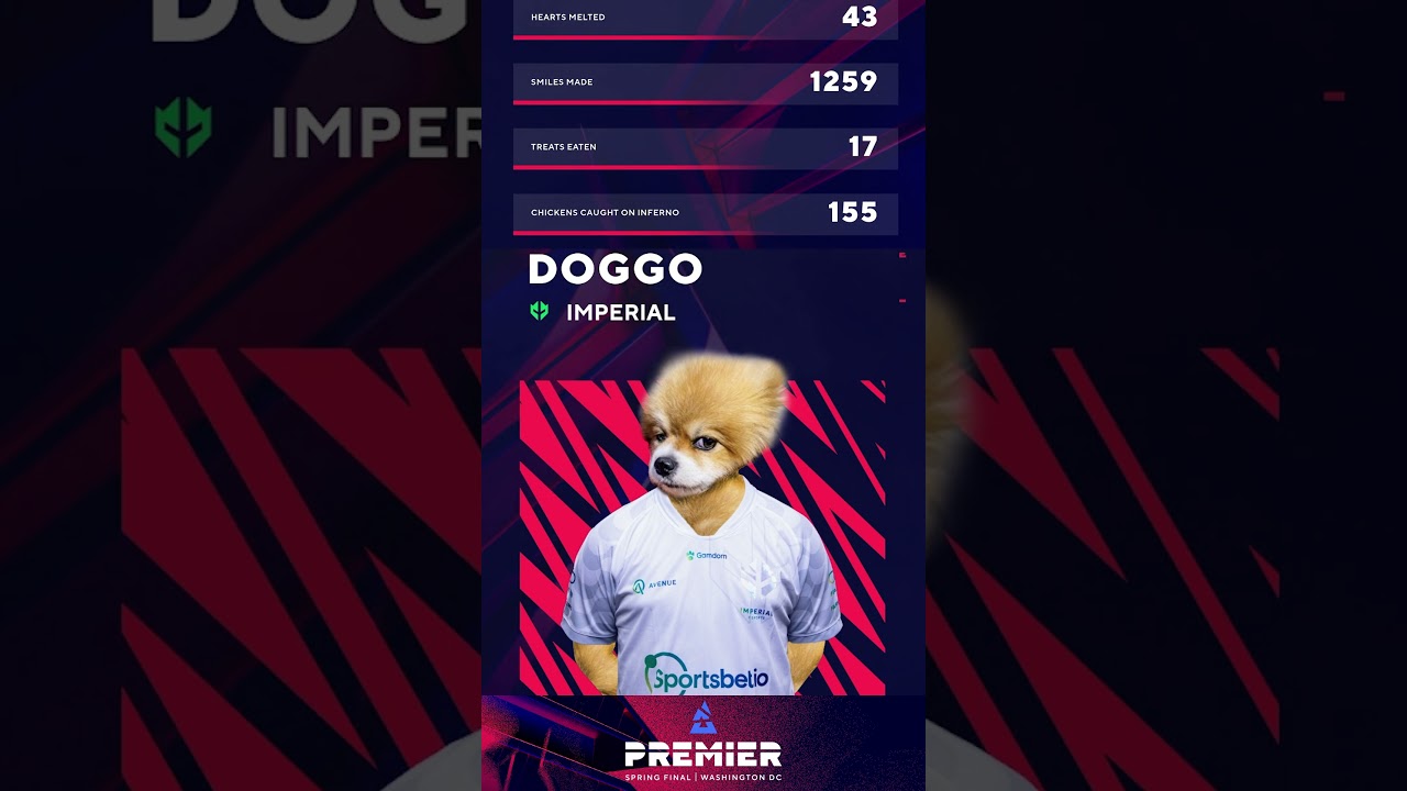 Imperial's Real MVP 🐶