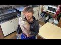 夕食ライブ 2026.1.11 真鯛