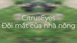 [KNVNU2022] - Trường Đại học Công nghệ - CitrusEyes