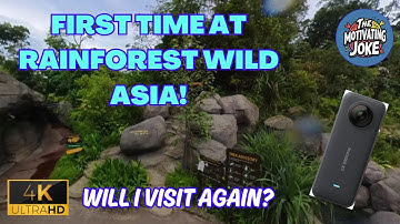 My First Time in Singapore’s Rainforest Wild Asia 🇸🇬 | Cinematic Insta360 X3 Adventure!
