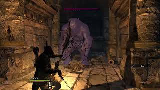 Dragon's Dogma: Ranger is a Bully