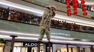 Pertunjukkan Barongsai di Lippo Mall Puri by Kong Ha Hong