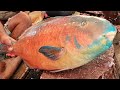 Amazing Live Fish Cutting Skills In The Fish Market | Fastest Parrot Fish Slicing