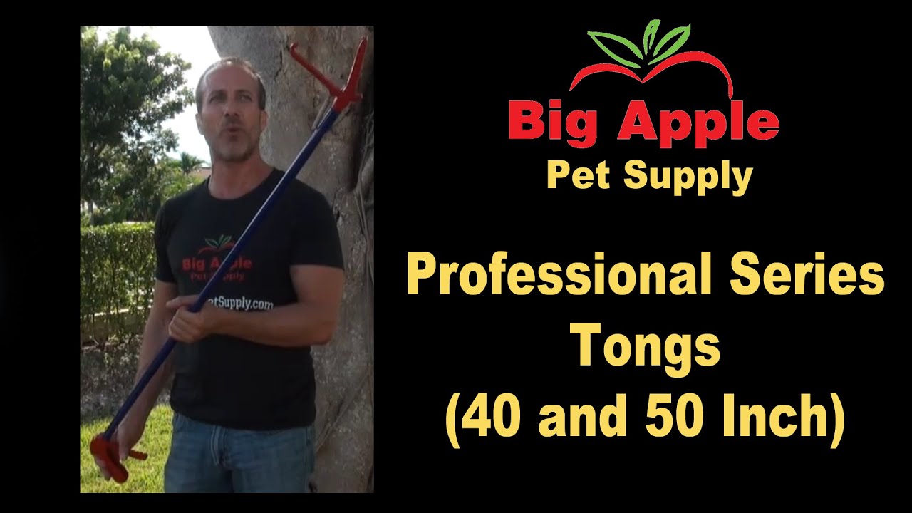 bigapplepetsupply
