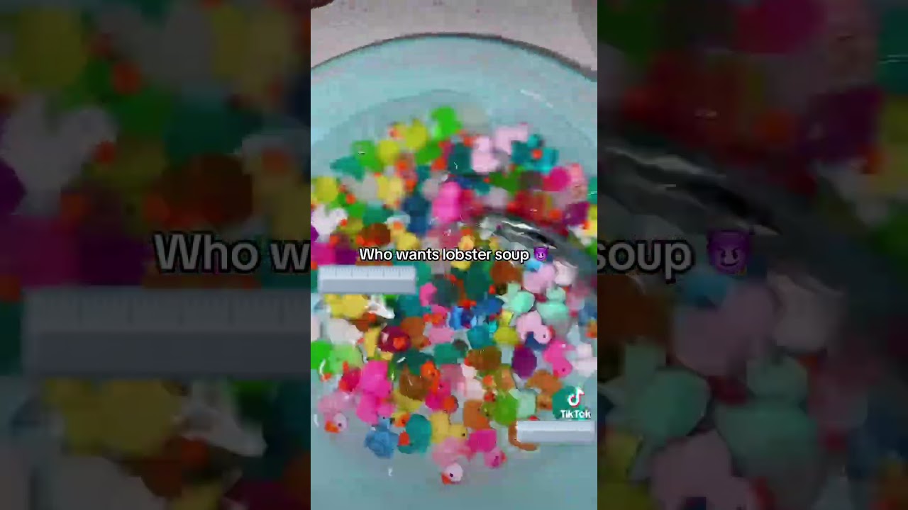 Lobster soup 😈 || not stolen ‼️ it’s my private account 🫶