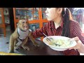 Dodo Cry Not Want Wait Mom Feed His Special Food