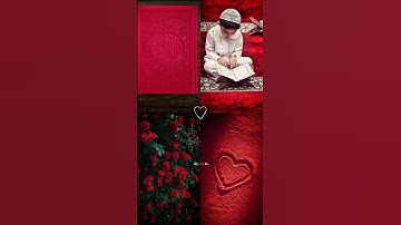 𝑸𝒖𝒓𝒂𝒏♡أكتب شيء تؤجر عليه#عبدالرحمن_مسعد |سورة الاعلي🥺🥀