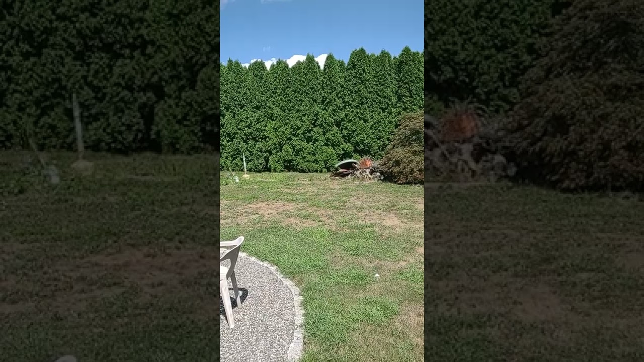 thunder cracker vs hole