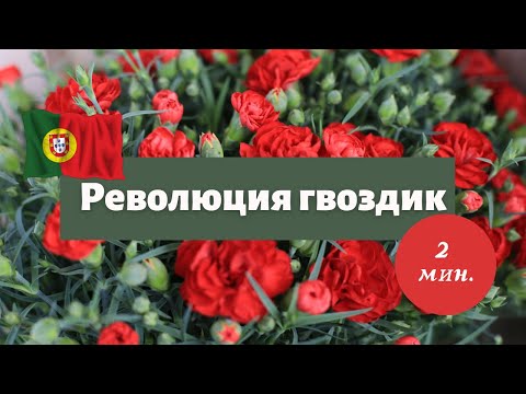 Почему гвоздики - это символ революции в Португалии?