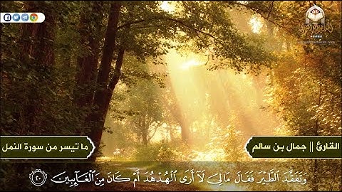 تلاوة راااااااائعة لما تيسر من سورة النمل || بصوت القارئ  جمال بن سالم حفظه الله