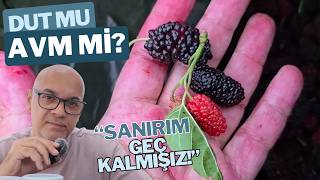 İstanbuldan Kaçmakta Geç Kaldık \