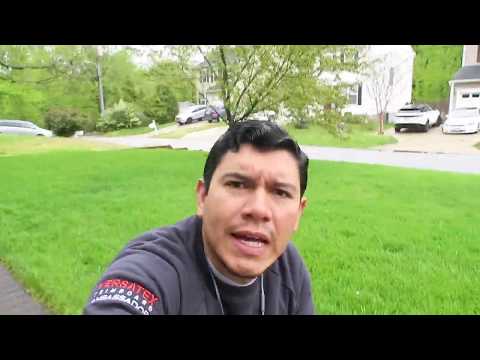 LAS TAREAS DEL HOGAR