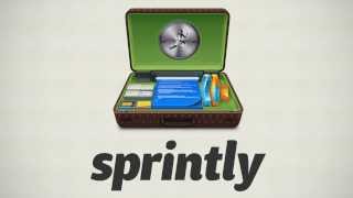 Sprintly - Commenting on Items Like a Pro