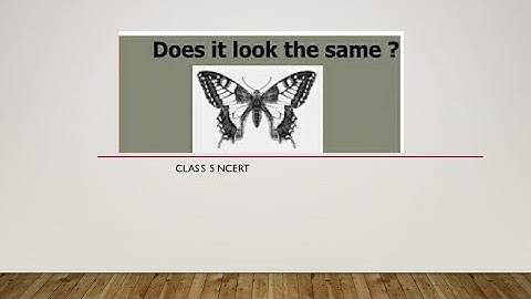 Does it look the same || class 5 Maths Ncert || part 2