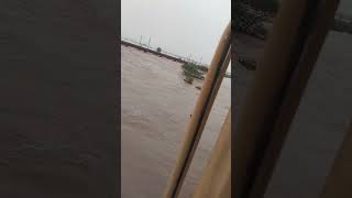 Ghaggar overflow#punjab#latest news#train from jakhal#sad_status😥 flood destroyed everything#shareit