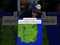 Agent could not stop laughing playing Fortnite with Sketch 😭 #funny #trending #agent00 #sketch