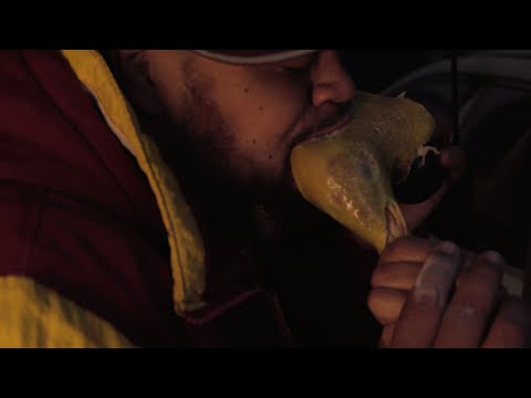 El Sonido Del Javier x El Mulatto Jhanky Style - El Caballo De Troya ((BTM))