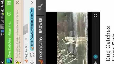 How to download metacafe videos on android