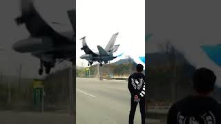 bird funny flying plane fighter jet