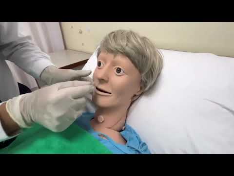 ผลสลากกินแบ่งรัฐบาล วันที่ 1 พย. 2567