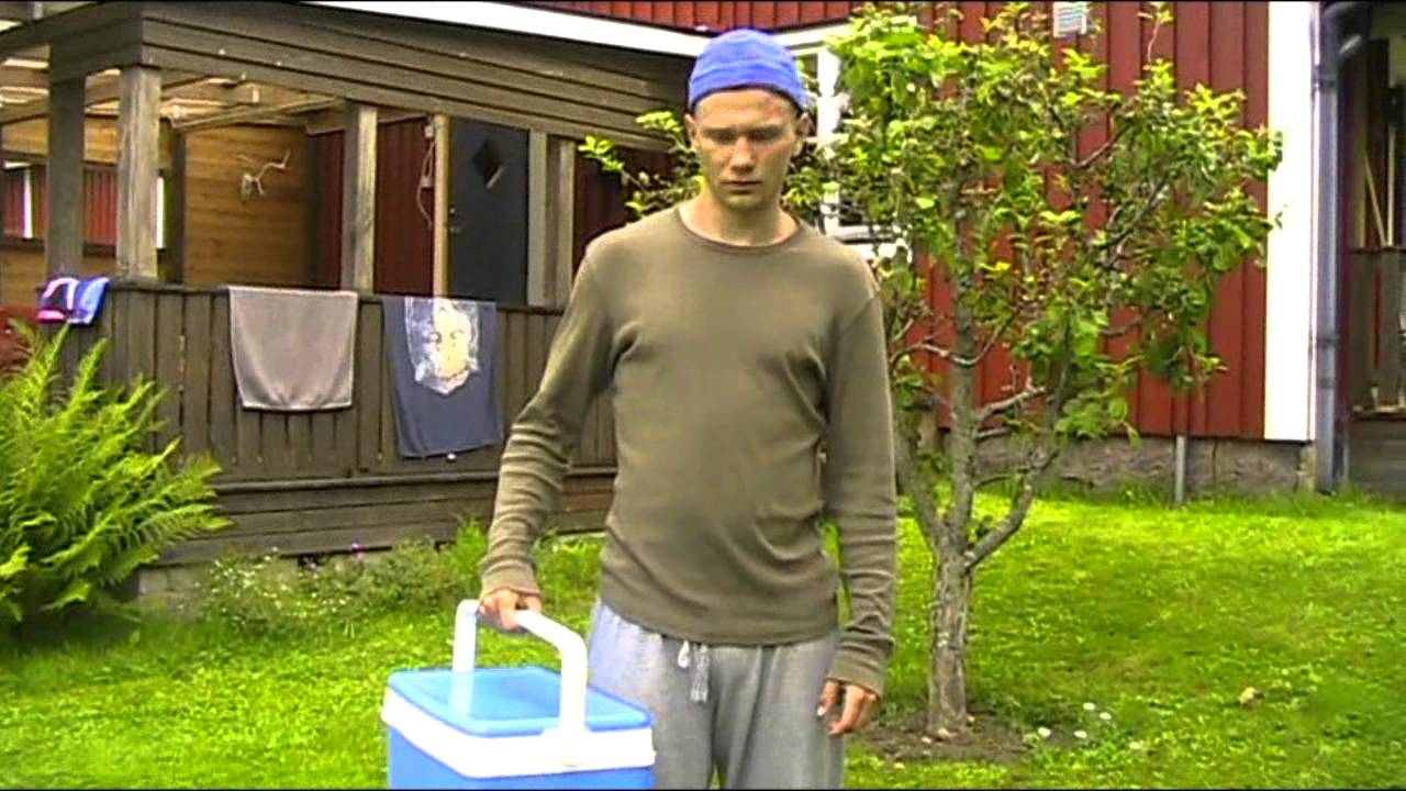 Bild från Kan du passa min katt?