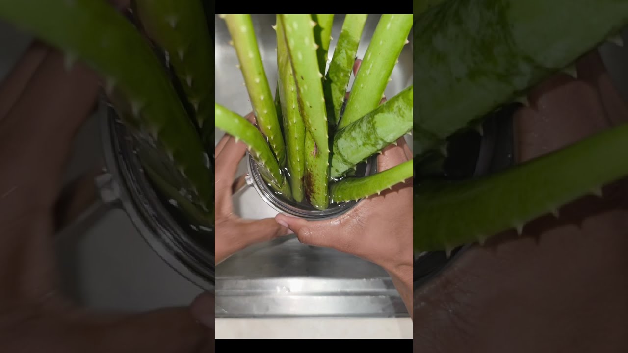 DIY Aloe Vera Gel #hairgrowthjourney2026 #Type4hair #Minibraids