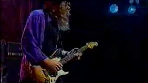 Georgia Satellites-Hippy Hippy Shake-Denmark