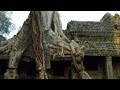 Impact of Trees on Temple Structure