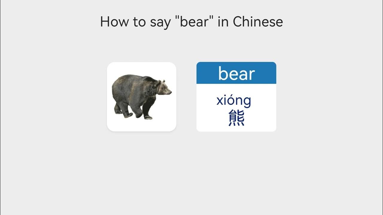 vocabulary-mammal-animal-names-how-to-say-bear-in-mandarin-chinese
