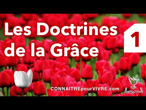 Vidéo: Quelles sont les doctrines de la grâce ?