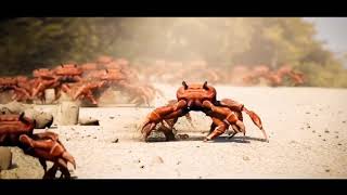 Crab Rave 2x, 4x, 8x, Up To 5000x FASTER