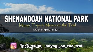 Backpacking the Shenandoah National Park - Day 11