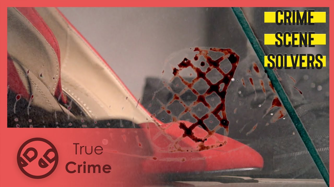 Film backdrop image for A burglary gone wrong | The Laurence Dromard Case | Crime Scene Solvers 302 (2023)