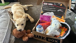 May the Force Be With You(r Dog) - Star Wars Bark Box Unboxing! #ad by Sun Village Animal Rescue 856 views 11 months ago 2 minutes, 10 seconds