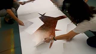 H29香川･四国幼年美術研究大会　第3分科会「食紅スプレーで遊ぼう」（スパッタリング）