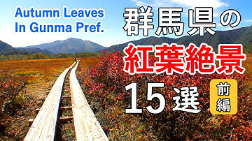 Top 15 Best Autumn Leaves in Gunma Pref, Japan (Part 1) / Oze, Marunuma, Mt. Kusatsu-Shiranesan