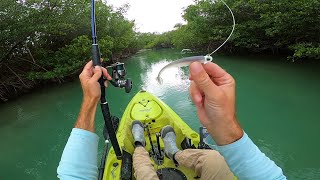 Didn't Expect This! MultiSpecies Kayak Fishing Fort Pierce Florida