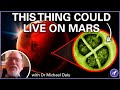 Bacteria That Can Survive on Mars for Hundreds of Millions of Years | Dr Michael Daly