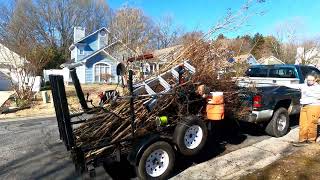 BIG Crepe Myrtle hasn't been trimmed in YEARS | Hard Pruning by Nooe Lawn Care 44 views 3 months ago 11 minutes, 33 seconds