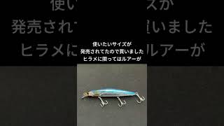 熱砂 ヒラメミノー 120Sのお話