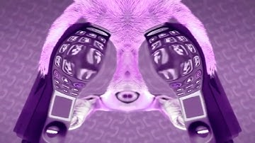 Preview 2 Numa Cat Extended Effects Blind Major